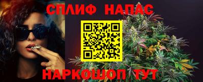 стаф Бузулук