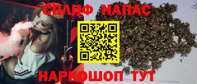 ешки Будённовск